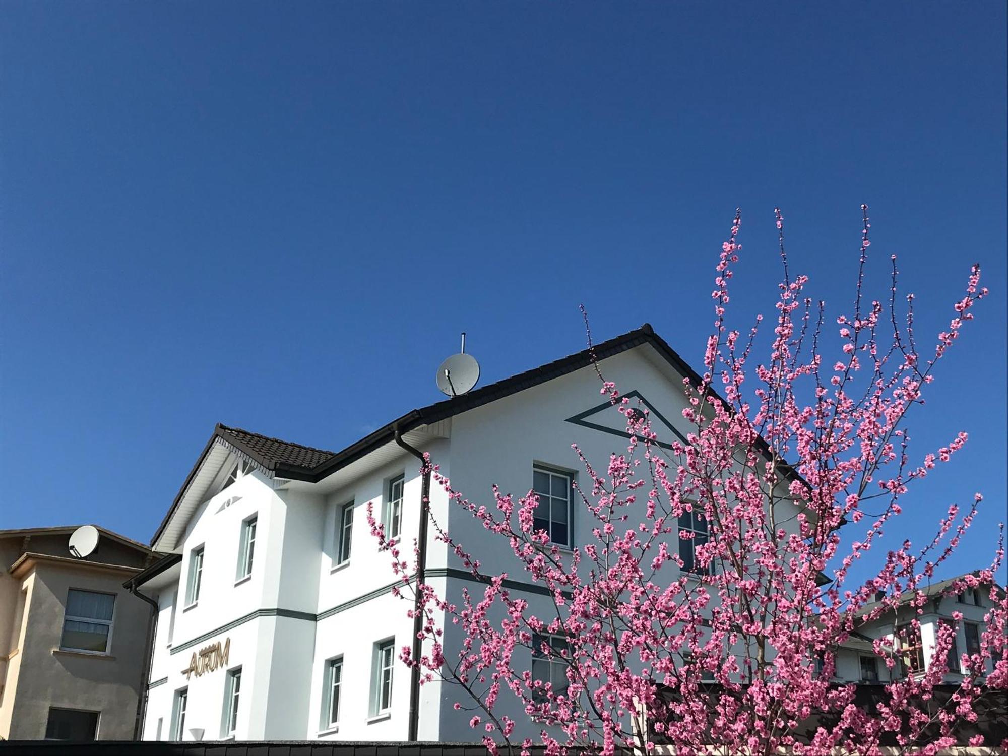 Apartmenthaus Aurum Heringsdorf Zewnętrze zdjęcie